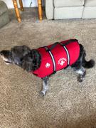 DinkyDogClub Paws Aboard Dog Life Jacket - Red Review
