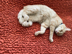 Eurofunda Microfibra - Funda Futon Blue Review