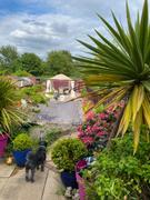 Gazebo Spare Parts Side Panel Set for 3m x 3m Garden Nation Regency Superior Patio Gazebo - Set of 4 Review