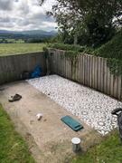 The Stencil Studio Large Stencil Brush - No 18 - 30mm Review