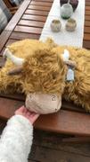 Contempo  Jellycat Truffles Highland Cow Review