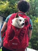 La Tienda de Frida & Chelsee Mochila Backpack para Cargar a tu Perro Roja - Kurgo® Review