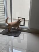 La Tienda de Frida & Chelsee Puerta De Mosquitero para Perros Pet Screen Door de PetSafe® Review