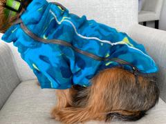 La Tienda de Frida & Chelsee Climate Changer® en Azul Glaciar Suéter de Felpa para Perros de Ruffwear® Review
