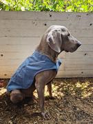 La Tienda de Frida & Chelsee Abrigo para Perro K-9 Overcoat™ en Azul Piedra de Ruffwear® Review