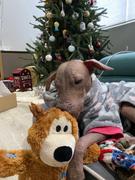 La Tienda de Frida & Chelsee Kong Wild Knots Bear Extra Grande - Peluche para Perros de Cuerda Review