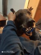 La Tienda de Frida & Chelsee Pelota Grinz® Para Perros - Incluye Sonrisa por Rogz® Review