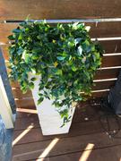 Vertical Gardens Direct Artificial Yellow Mixed Hanging Foliage 60cm UV Stabilised Review