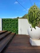 Vertical Gardens Direct Artificial Yellow Tropics Vertical Garden Panel 1m x 1m UV Stabilised Review