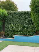 Vertical Gardens Direct Artificial Laurel Hedge 1m x 1m Plant Wall Screening Panel UV Protected Review