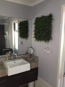 Vertical Gardens Direct Artificial Fern Vertical Garden 1m x 1m Plant Wall Panel UV Stabilised Review
