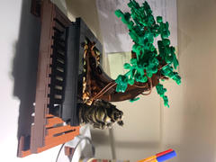 Myhobbies LEGO® 10281 Creator Expert Bonsai Tree Review