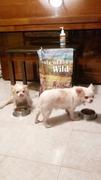 CuidaMiMascota Taste of the Wild Appalachian Valley Small Breed Venado - Alimento para perro Review