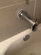 Riverbend Home Diverter Spouts Review