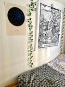 Positive Prints CUSTOM STAR MAP Review