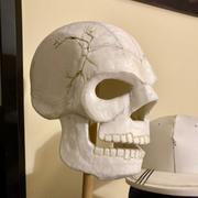 Wintercroft Spirit Skull Review