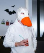 Wintercroft Duck Mask Review