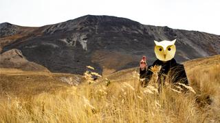 Wintercroft Owl Mask Review