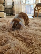 Fluffymatto Fluffy & Shaggy Pörröinen Turkismatto Review