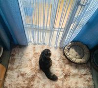 Fluffymatto Fluffy Ja Shaggy Pöyheä Turkismatto Review