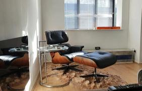 Fluffymatto Erittäin Karvainen Fluffy Ja Shaggy 4 Peltinen Lampaannahkainen Turkismatto Review