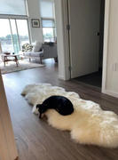 Fluffymatto Erittäin Karvainen Fluffy Ja Shaggy Tupla Peltinen Lampaannahkainen Turkismatto Review