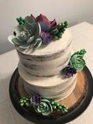 CaljavaOnline Wild Desert Flower Succulent - Green Review