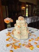 CaljavaOnline Large Tea Roses - Peach Review