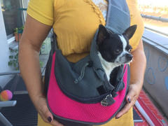 Paw Roll PawRoll™ Fashion Small Puppy Carrier Review