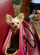 Paw Roll Western Style Luxury Designer Dog Carrier Review