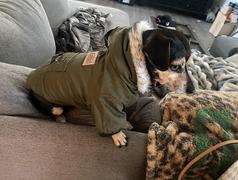 Paw Roll PawRoll Military Style Winter Dog Jacket Review