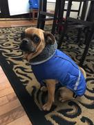 Paw Roll PawRoll™ Reflective Warm Pet Coat Review