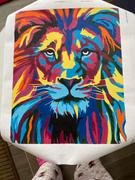 Colordemy Lion full face Review