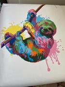 Colordemy Sloth in splash Review