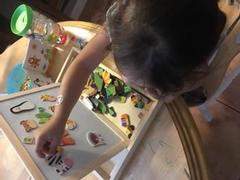 Project Montessori Polska Magnetyczna dwustronna tablica do rysowania Review