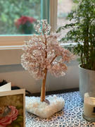 Karma and Luck Loving Vibes Feng Shui Rose Quartz Tree Review
