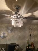 Moooni LIGHTING Silver Ceiling Fan with Light Review