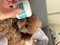 Only One Treats Toothpaste for Dogs 56g Review
