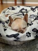 French Bulldog Love The Classic Frenchie Fleece Blanket Review