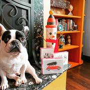 French Bulldog Love Holiday Buggy - French Bulldog Holiday Card Review
