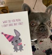French Bulldog Love No Cake For You - Birthday Card - Girl Review