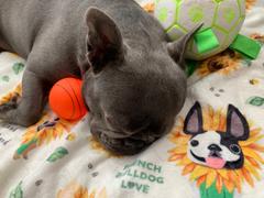 French Bulldog Love Hello Sunshine Fleece Blanket Review