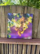 My Backyard Decor Outdoor Canvas Art 24x24 Istrian Review