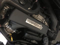 mountune I5 Cast Inlet Plenum [Mk2 Focus RS] - Fully Fitted Review