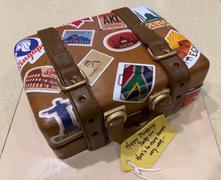 CAKESBURG Journey Suitcase Cake #1 Review