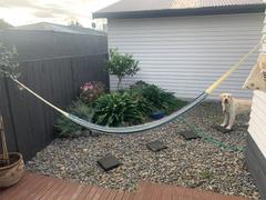 Mexican Hammock Store Mexican Hammock - Oceano Review