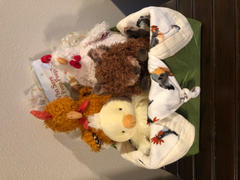 Bunnies By The Bay Wee Foxy the Fox Review