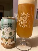 CraftShack® Mike Hess Assaulted By Feather Pillows Double Hazy IPA Review