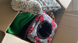 The Hoghouse Ladybird fleece cosy cube house. Hedgehog and guinea pig cube house. Review