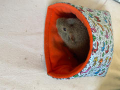 The Hoghouse LARGE Drama Llama guinea pig cosy snuggle cave. Guinea Pig padded stay open snuggle cave. Review